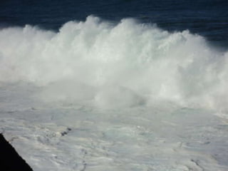 Comida navidad 2012 3