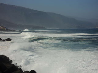 Comida navidad 2012 3