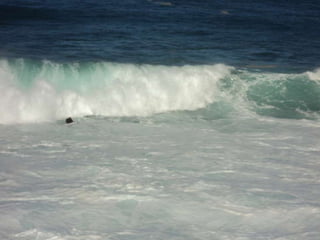 Comida navidad 2012 3