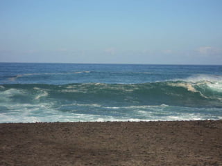 Comida navidad 2012 3