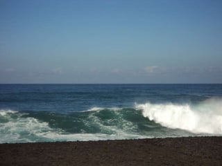 Comida navidad 2012 3