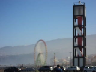 Comida navidad 2012 3