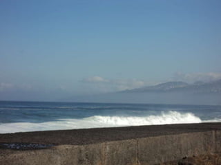 Comida navidad 2012 3