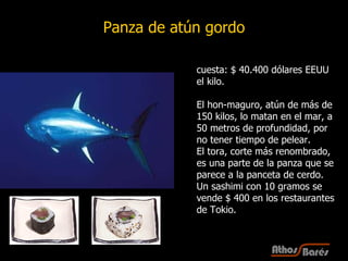 cuesta: $ 40.400 dólares EEUU  el kilo.  El hon-maguro, atún de más de 150 kilos, lo matan en el mar, a 50 metros de profundidad, por no tener tiempo de pelear.  El tora, corte más renombrado, es una parte de la panza que se parece a la panceta de cerdo.  Un sashimi con 10 gramos se vende $ 400 en los restaurantes de Tokio. Panza de atún gordo 
