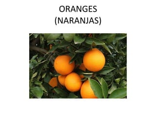 ORANGES (NARANJAS)