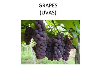 GRAPES (UVAS)
