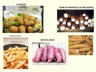 A BATATA AIPIM OU MANDIOCA OU MACAXERA BATATA-DOCE BATATA FRITA 