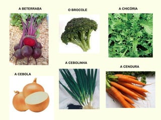 A BETERRABA O BROCOLE A CHICÓRIA A CEBOLA A CEBOLINHA A CENOURA 