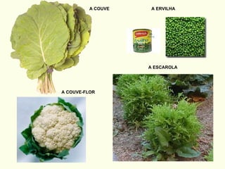 A COUVE A ERVILHA A COUVE-FLOR A ESCAROLA 