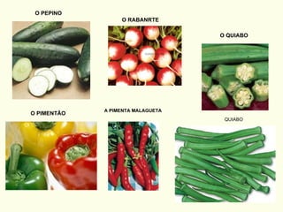 O PEPINO O RABANRTE O QUIABO QUIABO O PIMENTÃO A PIMENTA MALAGUETA 