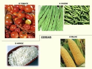 O TOMATE A VAGEM CEREAIS O ARROZ O MILHO 