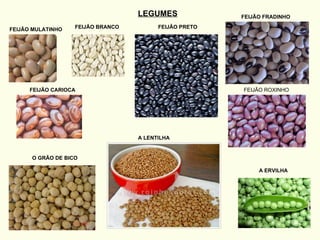 LEGUMES FEIJÃO MULATINHO FEIJÃO BRANCO FEIJÃO FRADINHO FEIJÃO PRETO FEIJÃO ROXINHO FEIJÃO CARIOCA A LENTILHA O GRÃO DE BICO A ERVILHA 