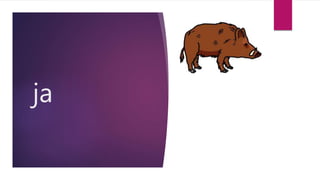 ja
 