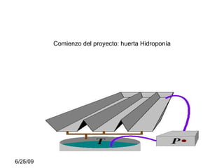 Comienzo del proyecto: huerta Hidroponía  