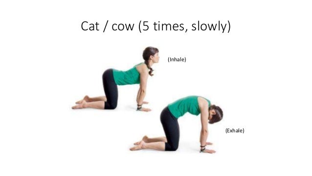 Cat Cow Pose Inhale Exhale