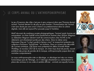 LE CORPS ANIMAL OU L’ANTHROPOMORPHISME
Le jeu d'inversion des rôles n'est pas à sens unique et alors que l'homme devient
animal, l'animal devient lui de plus en plus homme. L'humanisation de l'animal
n'est sans doute pas sans avoir à faire à sa prédominance dans la culture
digitale, mais elle est aujourd'hui poussée jusqu'à l'extrême. 
Motif récurrent de nombreux projets photographiques, l'animal rendu homme est
omniprésent. Le chien habillé voire transformé en homme chez Wiliam Wegman
ou Sebastian Magnani devient motif de communication chez ACNE où les
vêtements sont directement portés par des chiens. Dans la même veine
Menswear Dog est "a dog's guide to being a man" et zooportrait présente une
collection d'animaux "transformés " en humains. Dans un univers plus décoréllé
de l'univers artistique, Old Spice nous présentait en début d'année Mister
Wolfdog, le nouveau CEO de la marque. Un chien loup doué de parole, nouvel
emblème des prises de paroles de la marque, anthropomorphe jusque dans ses
moindres comportements. 
Le corps anthropomorphe crée un décalage, un décalage tant vécu au niveau
humoristique que de l'étrange, car il interroge directement ou indirectement la
place des animaux à nos cotés et semble afﬁrmer : animals are equally humans. 
 