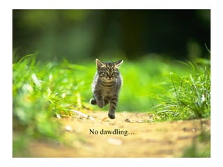 No dawdling… 