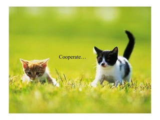 Cooperate… 