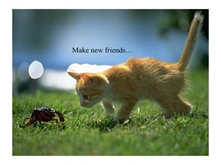 Make new friends… 