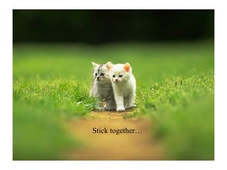 Stick together… 