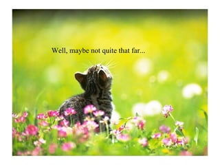 Well, maybe not quite that far... 