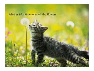 Always take time to smell the flowers… 