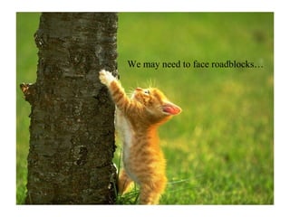 We may need to face roadblocks… 