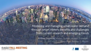 Modelling and managing urban water demand
through smart meters: Benefits and challenges
from current research and emerging trends
Andrea Cominola, Matteo Giuliani, Andrea Castelletti,
Dario Piga, Andrea E. Rizzoli
 