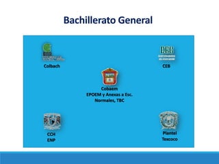 Bachillerato General
Colbach CEB
CCH
ENP
Plantel
Texcoco
Cobaem
EPOEM y Anexas a Esc.
Normales, TBC
 