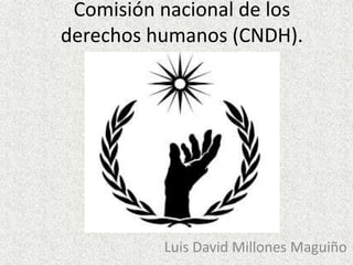 Comisión nacional de los
derechos humanos (CNDH).
Luis David Millones Maguiño
 