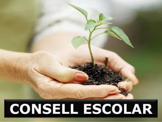 CONSELL ESCOLAR
 