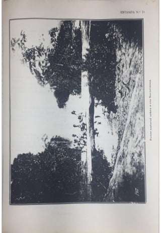 Relatório Comissão Rondon Volume 2 - Parte 4