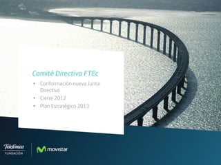 • Conformación nueva Junta
Directiva
• Cierre 2012
• Plan Estratégico 2013
Comité Directivo FTEc
 