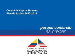 Comité de Capital Humano
Plan de Acción 2013-2014
 