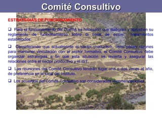 Comité Consultivo ESTRATEGIAS DE FUNCIONAMIENTO   Para el funcionamiento del Comité es necesario que elaboren y aprueben su reglamento de funcionamiento sobre la base de estos  lineamientos establecidos. Considerando que actualmente el sector productivo, tiene pocas razones para mantener vinculación con el sector formativo, el Comité Consultivo debe organizar estrategias a fin que esta situación se revierta y asegurar las relaciones entre el sector productivo y el IST.  Las reuniones del Comité Consultivo tendrán lugar una o dos veces al año, de preferencia en el local del Instituto. Los acuerdos del Comité Consultivo son considerados recomendaciones . 