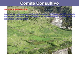 Comité Consultivo INSTITUCIONALIZACIÓN.   Luego de la conformación del Comité Consultivo, el Director del IST emitirá la Resolución Directoral que establezca el reconocimiento e inicio de sus actividades en forma oficial. 