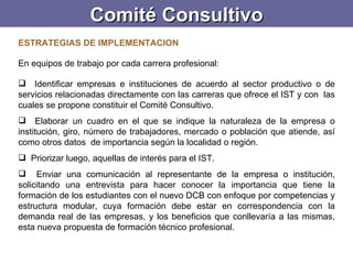 Comité Consultivo <ul><li>ESTRATEGIAS DE IMPLEMENTACION </li></ul><ul><li>  </li></ul><ul><li>En equipos de trabajo por ca...