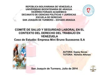 REPÚBLICA BOLIVARIANA DE VENEZUELA
UNIVERSIDAD BICENTENARIA DE ARAGUA
VICERRECTORADO ACADÉMICO
DECANATO DE CIENCIAS POLÍTICAS Y JURÍDICAS
ESCUELA DE DERECHO
SAN JOAQUÍN DE TURMERO – ESTADO ARAGUA
San Joaquín de Turmero, Julio de 2014
COMITÉ DE SALUD Y SEGURIDAD LABORAL EN EL
CONTEXTO DEL DERECHO DEL TRABAJO EN
VENEZUELA
Caso de Estudio: Empresa Mini Bruno Sucesores S.A
AUTORA: Gypsy Navas
TUTORA: Nohelia Alfonzo
 