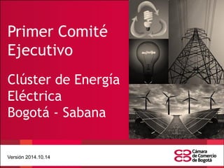 Versión 2014.10.14 
Primer Comité Ejecutivo 
Clúster de Energía Eléctrica 
Bogotá - Sabana  