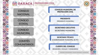 ASESORIA COMUNITARIA Y ENLACE REGIONAL Y MUNICIPAL
CONSEJO
NACIONAL
CONSEJO
ESTATAL
CONSEJO MUNICIPAL DE
PROTECCIÓN CIVIL
PRESIDENTE
(PRESIDENTE MUNICIPAL)
SECRETARIO EJECUTIVO
SECRETARIO MUNICIPAL
SECRETARIO TÉCNICO
(COORDINADOR MUNICIPAL DE PC)
CUERPO DEL CONSEJO
(REGIDORES, VOCALES Y CONSEJEROS)
CONSEJO
MUNICIPAL
COMITÉS
COMUNITARIOS
 