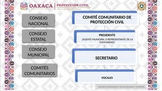 ASESORIA COMUNITARIA Y ENLACE REGIONAL Y MUNICIPAL
CONSEJO
NACIONAL
CONSEJO
ESTATAL
COMITÉ COMUNITARIO DE
PROTECCIÓN CIVIL
PRESIDENTE
(AGENTE MUNICIPAL O REPRESENTANTE DE LA
COMUNIDAD)
SECRETARIO
VOCALES
CONSEJO
MUNICIPAL
COMITÉS
COMUNITARIOS
 