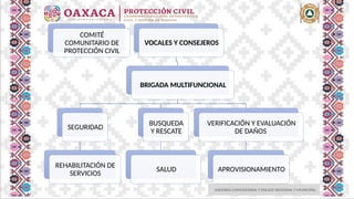 ASESORIA COMUNITARIA Y ENLACE REGIONAL Y MUNICIPAL
COMITÉ
COMUNITARIO DE
PROTECCIÓN CIVIL
VOCALES Y CONSEJEROS
BRIGADA MULTIFUNCIONAL
SEGURIDAD
REHABILITACIÓN DE
SERVICIOS
BUSQUEDA
Y RESCATE
SALUD
VERIFICACIÓN Y EVALUACIÓN
DE DAÑOS
APROVISIONAMIENTO
 