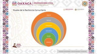 ASESORIA COMUNITARIA Y ENLACE REGIONAL Y MUNICIPAL
 