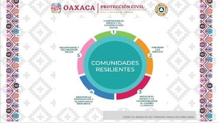 COLÓN 719, BARRIO DE LOS 7 PRINCIPES, OAXACA DE JUÁREZ 68000
 