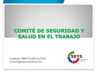 COMITÉ DE SEGURIDAD Y SALUD EN EL TRABAJO LEY 29783