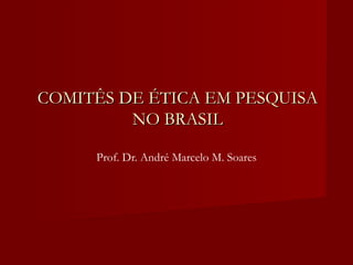 COMITÊS DE ÉTICA EM PESQUISA NO BRASIL Prof. Dr. André Marcelo M. Soares 