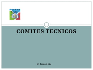 COMITES TECNICOS
30 Junio 2014
 