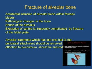 21
Fracture of alveolar bone
Accidental inclusion of alveolar bone within forceps
blades.
Pathological changes in the bone
Shape of the alveolus
Extraction of canine is frequently complicated by fracture
of the labial plate.
Alveolar fragments which has lost one half of the
periosteal attachment should be removed. if it well
attached to periosteum, should be sutured back
 