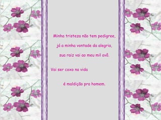 Minha tristeza não tem pedigree, já a minha vontade da alegria, sua raiz vai ao meu mil avô. Vai ser coxo na vida  é maldição pra homem. 