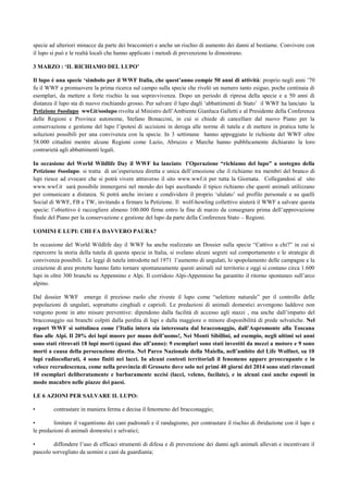 specie ad ulteriori minacce da parte dei bracconieri e anche un rischio di aumento dei danni al bestiame. Convivere con
il lupo si può e le realtà locali che hanno applicato i metodi di prevenzione lo dimostrano.
3 MARZO : ‘IL RICHIAMO DEL LUPO’
Il lupo è una specie ‘simbolo per il WWF Italia, che quest’anno compie 50 anni di attività: proprio negli anni ’70
fu il WWF a promuovere la prima ricerca sul campo sulla specie che rivelò un numero tanto esiguo, poche centinaia di
esemplari, da mettere a forte rischio la sua sopravvivenza. Dopo un periodo di ripresa della specie e a 50 anni di
distanza il lupo sta di nuovo rischiando grosso. Per salvare il lupo dagli ‘abbattimenti di Stato’ il WWF ha lanciato la
Petizione #soslupo wwf.it/soslupo rivolta al Ministro dell’Ambiente Gianluca Galletti e al Presidente della Conferenza
delle Regioni e Province autonome, Stefano Bonaccini, in cui si chiede di cancellare dal nuovo Piano per la
conservazione e gestione del lupo l’ipotesi di uccisioni in deroga alle norme di tutela e di mettere in pratica tutte le
soluzioni possibili per una convivenza con la specie. In 3 settimane hanno appoggiato le richieste del WWF oltre
58.000 cittadini mentre alcune Regioni come Lazio, Abruzzo e Marche hanno pubblicamente dichiarato la loro
contrarietà agli abbattimenti legali.
In occasione del World Wildlife Day il WWF ha lanciato l’Operazione “richiamo del lupo” a sostegno della
Petizione #soslupo: si tratta di un’esperienza diretta e unica dell’emozione che il richiamo tra membri del branco di
lupi riesce ad evocare che si potrà vivere attraverso il sito www.wwf.it per tutta la Giornata. Collegandosi al sito
www.wwf.it sarà possibile immergersi nel mondo dei lupi ascoltando il tipico richiamo che questi animali utilizzano
per comunicare a distanza. Si potrà anche inviare e condividere il proprio ‘ululato’ sul profilo personale e su quelli
Social di WWF, FB e TW, invitando a firmare la Petizione. Il wolf-howling collettivo aiuterà il WWF a salvare questa
specie: l’obiettivo è raccogliere almeno 100.000 firme entro la fine di marzo da consegnare prima dell’approvazione
finale del Piano per la conservazione e gestione del lupo da parte della Conferenza Stato – Regioni.
UOMINI E LUPI: CHI FA DAVVERO PAURA?
In occasione del World Wildlife day il WWF ha anche realizzato un Dossier sulla specie “Cattivo a chi?” in cui si
ripercorre la storia della tutela di questa specie in Italia, si svelano alcuni segreti sul comportamento e le strategie di
convivenza possibili. Le leggi di tutela introdotte nel 1971 l’aumento di ungulati, lo spopolamento delle campagne e la
creazione di aree protette hanno fatto tornare spontaneamente questi animali sul territorio e oggi si contano circa 1.600
lupi in oltre 300 branchi su Appennino e Alpi. Il corridoio Alpi-Appennino ha garantito il ritorno spontaneo sull’arco
alpino.
Dal dossier WWF emerge il prezioso ruolo che riveste il lupo come “selettore naturale” per il controllo delle
popolazioni di ungulati, soprattutto cinghiali e caprioli. Le predazioni di animali domestici avvengono laddove non
vengono poste in atto misure preventive: dipendono dalla facilità di accesso agli stazzi , ma anche dall’impatto del
bracconaggio sui branchi colpiti dalla perdita di lupi e dalla maggiore o minore disponibilità di prede selvatiche. Nel
report WWF si sottolinea come l’Italia intera sia interessata dal bracconaggio, dall’Aspromonte alla Toscana
fino alle Alpi. Il 20% dei lupi muore per mano dell’uomo!, Nei Monti Sibillini, ad esempio, negli ultimi sei anni
sono stati ritrovati 18 lupi morti (quasi due all’anno): 9 esemplari sono stati investiti da mezzi a motore e 9 sono
morti a causa della persecuzione diretta. Nel Parco Nazionale della Maiella, nell’ambito del Life Wolfnet, su 10
lupi radiocollarati, 4 sono finiti nei lacci. In alcuni contesti territoriali il fenomeno appare preoccupante e in
veloce recrudescenza, come nella provincia di Grosseto dove solo nei primi 40 giorni del 2014 sono stati rinvenuti
10 esemplari deliberatamente e barbaramente uccisi (lacci, veleno, fucilate), e in alcuni casi anche esposti in
modo macabro nelle piazze dei paesi.
LE 6 AZIONI PER SALVARE IL LUPO:
• contrastare in maniera ferma e decisa il fenomeno del bracconaggio;
• limitare il vagantismo dei cani padronali e il randagismo, per contrastare il rischio di ibridazione con il lupo e
le predazioni di animali domestici e selvatici;
• diffondere l’uso di efficaci strumenti di difesa e di prevenzione dei danni agli animali allevati e incentivare il
pascolo sorvegliato da uomini e cani da guardiania;
 